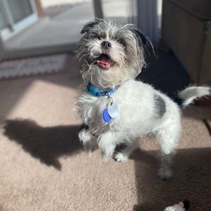 Meet your Posher, Natalie